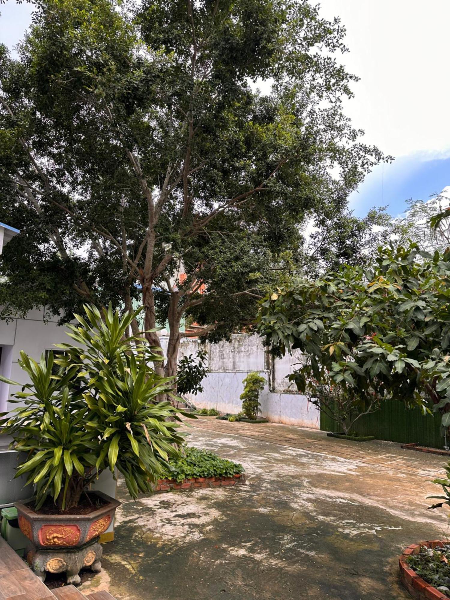 Chi Khu Co Ong Bungalow Hotel מראה חיצוני תמונה