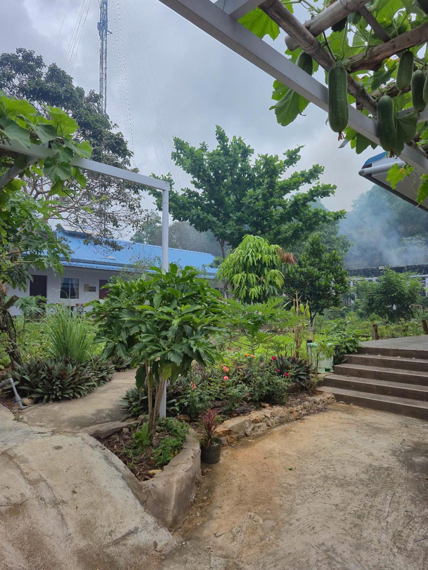 Chi Khu Co Ong Bungalow Hotel מראה חיצוני תמונה